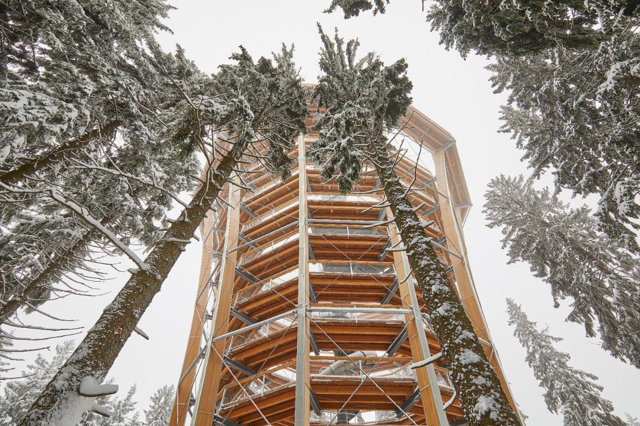 Ski Hotel Svoboda Nad Upou Svoboda nad Úpou Exterior foto