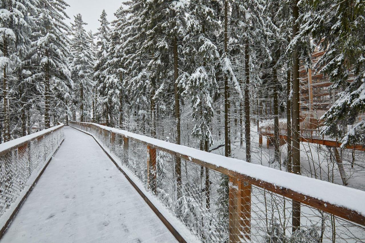 Ski Hotel Svoboda Nad Upou Svoboda nad Úpou Exterior foto